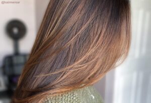 Brown Hair Color Ideas