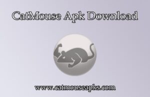 CatMouse Apk