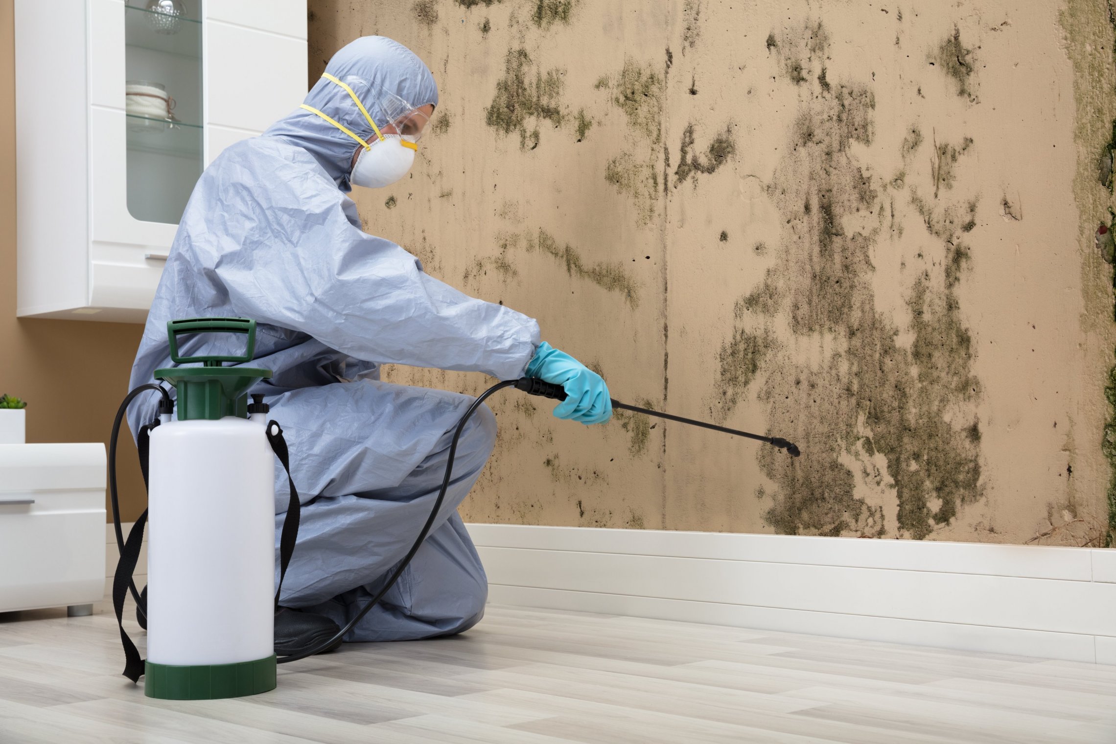 odor removal service