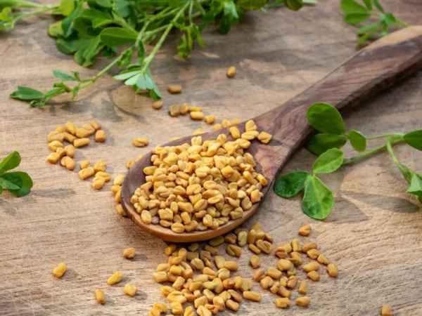 Fenugreek Seed Has Impressive Health Benefits