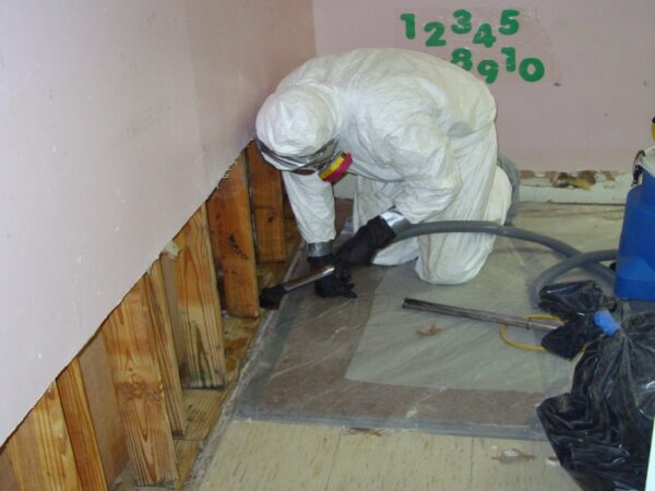 Mold Inspection in North York