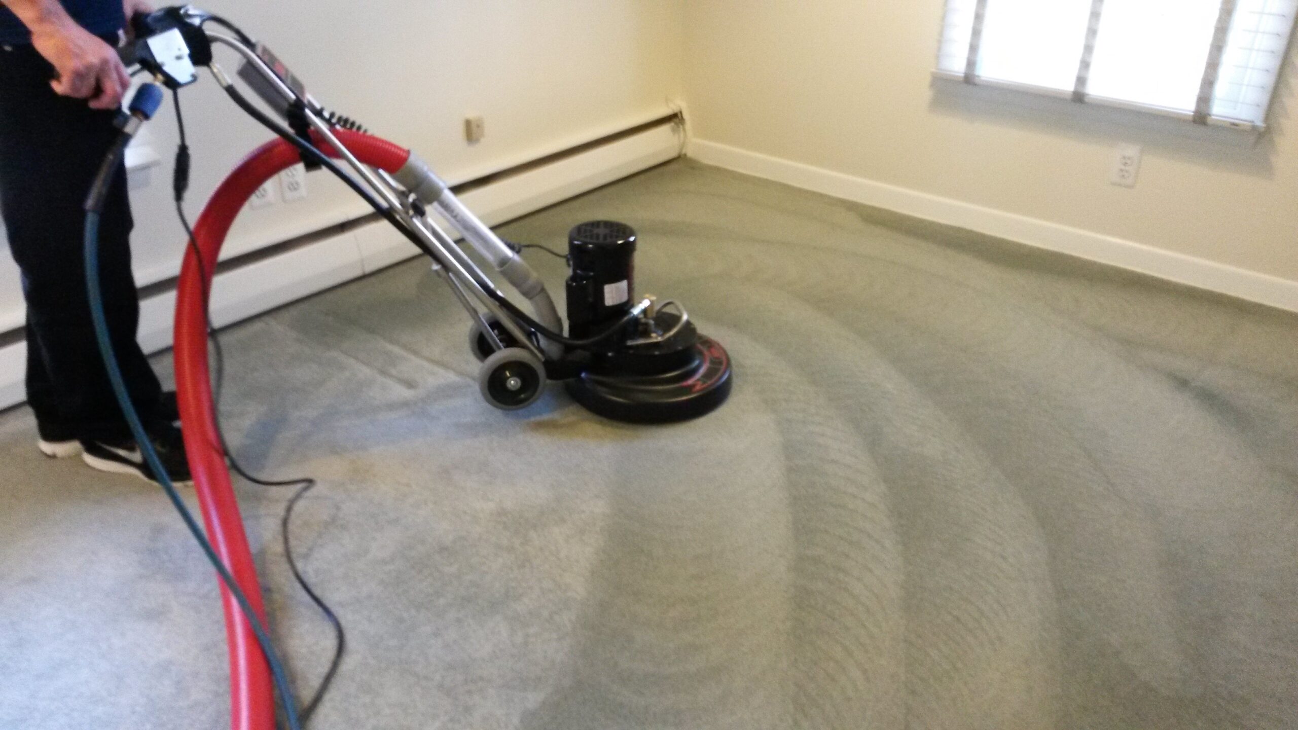 carpet cleaning services