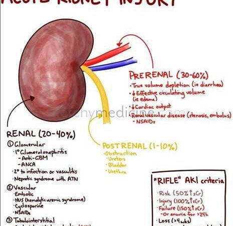 Acute Kidney Injury Treatment Market