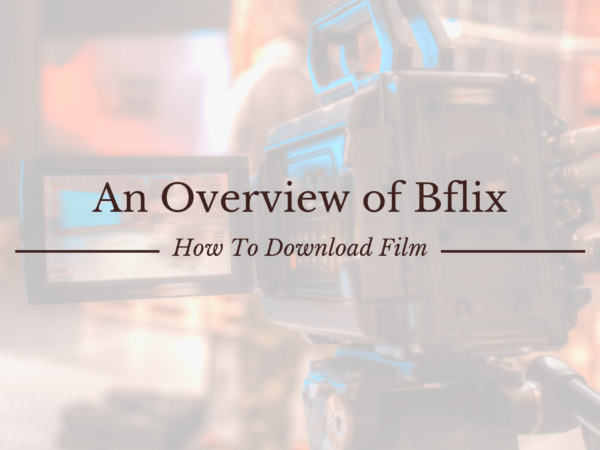 Overview of Bflix